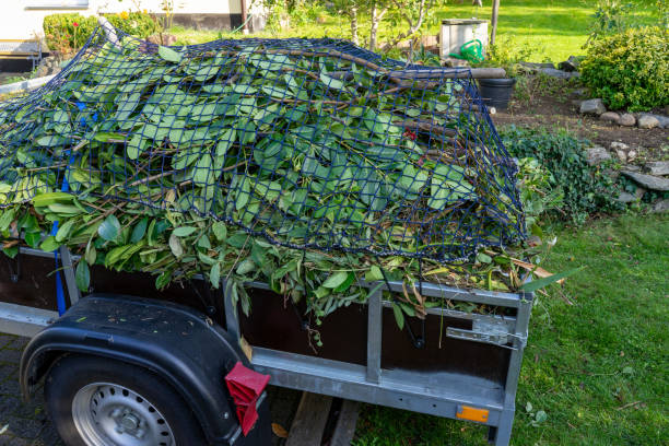 Best Shed Removal  in Clay, CA